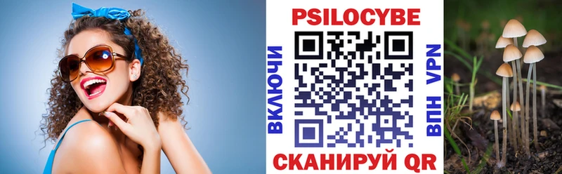закладка Ветлуга Псилоцибиновые грибы MAGIC MUSHROOMS